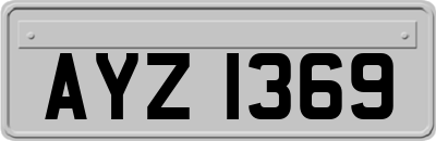 AYZ1369