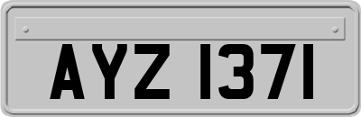AYZ1371