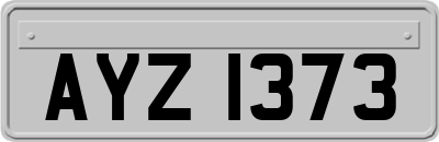 AYZ1373