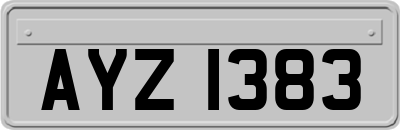 AYZ1383
