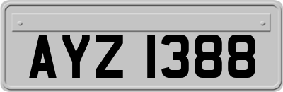 AYZ1388