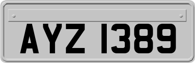 AYZ1389