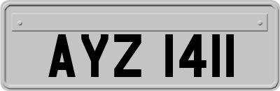 AYZ1411