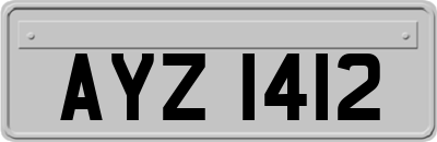 AYZ1412