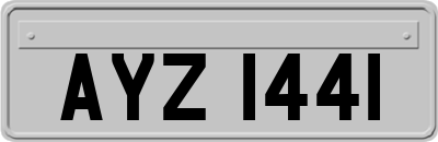 AYZ1441