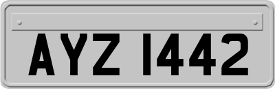 AYZ1442