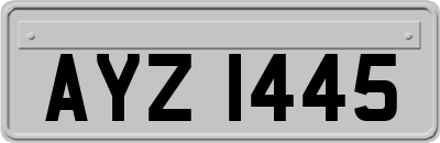 AYZ1445