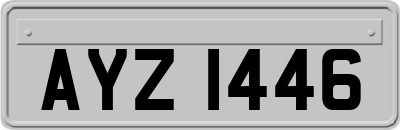 AYZ1446