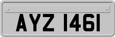 AYZ1461