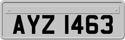 AYZ1463