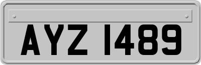 AYZ1489