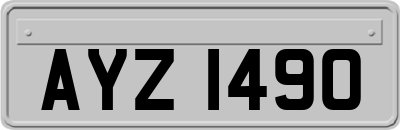 AYZ1490