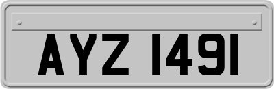 AYZ1491