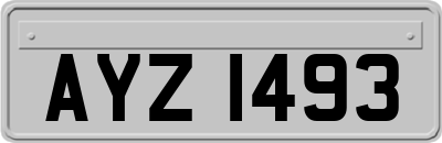 AYZ1493
