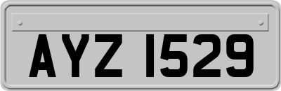AYZ1529