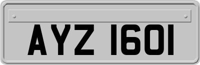 AYZ1601