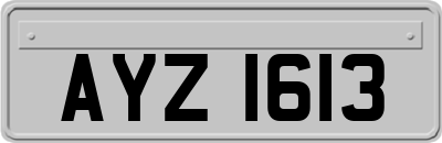 AYZ1613
