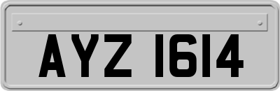 AYZ1614