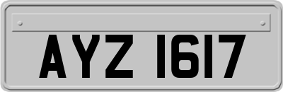 AYZ1617