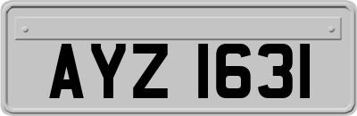 AYZ1631