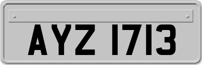 AYZ1713