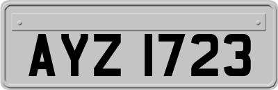 AYZ1723