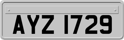 AYZ1729