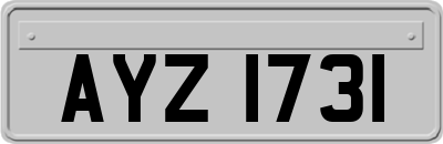 AYZ1731