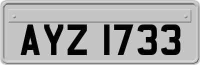 AYZ1733