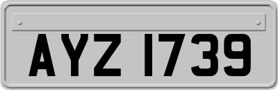 AYZ1739
