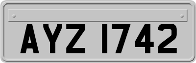 AYZ1742