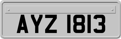 AYZ1813