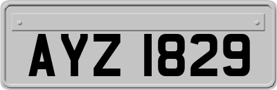 AYZ1829