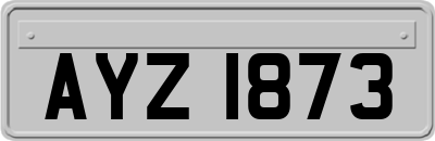 AYZ1873