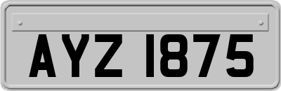 AYZ1875