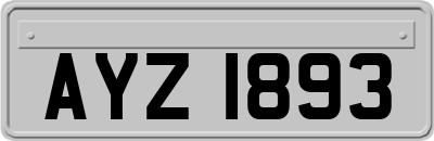 AYZ1893