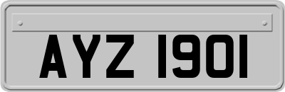 AYZ1901