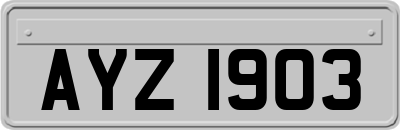 AYZ1903