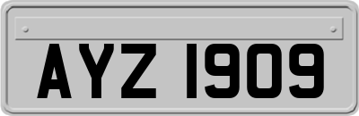 AYZ1909