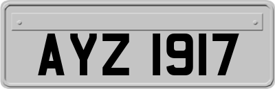 AYZ1917