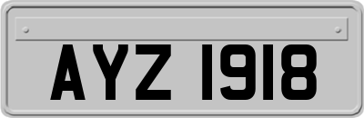 AYZ1918