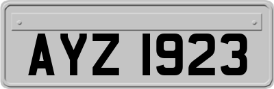 AYZ1923