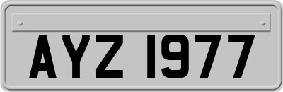 AYZ1977