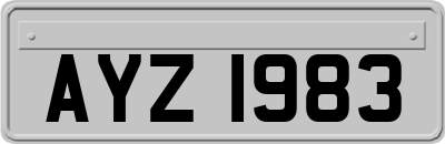 AYZ1983