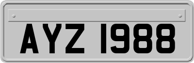 AYZ1988