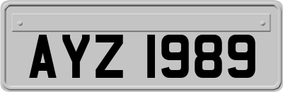 AYZ1989