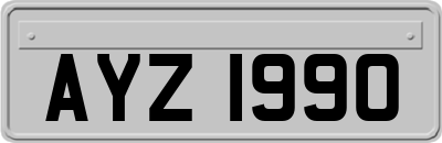 AYZ1990