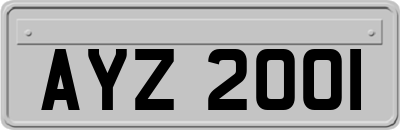 AYZ2001