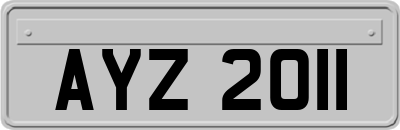 AYZ2011