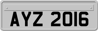 AYZ2016